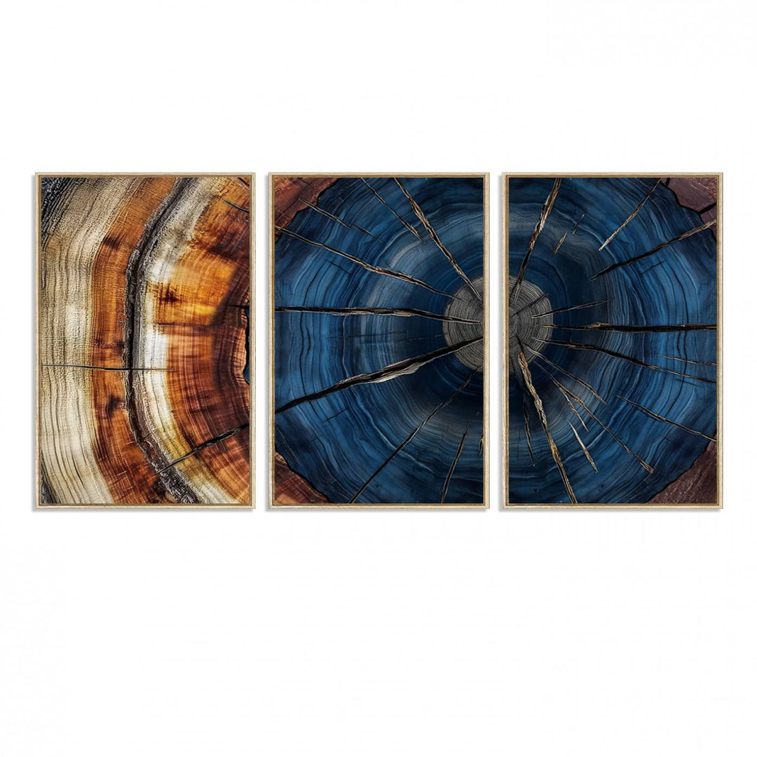 The Abstract Tree Rings Canvas Print features blue, brown, and orange rings that highlight wood grain and natures beauty.