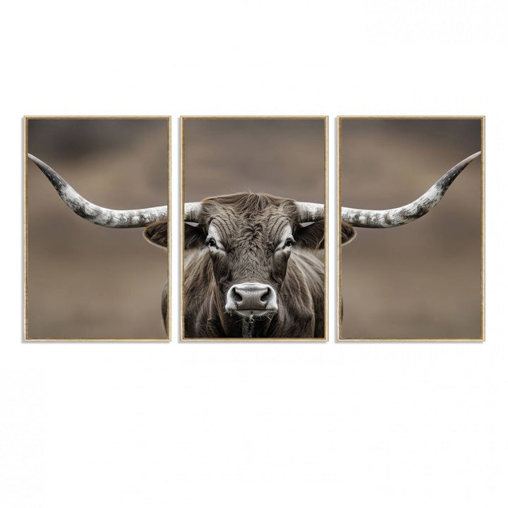 A close-up of a longhorn bull facing forward is featured in the Framed Texas Test-1, set against a blurred brown background.