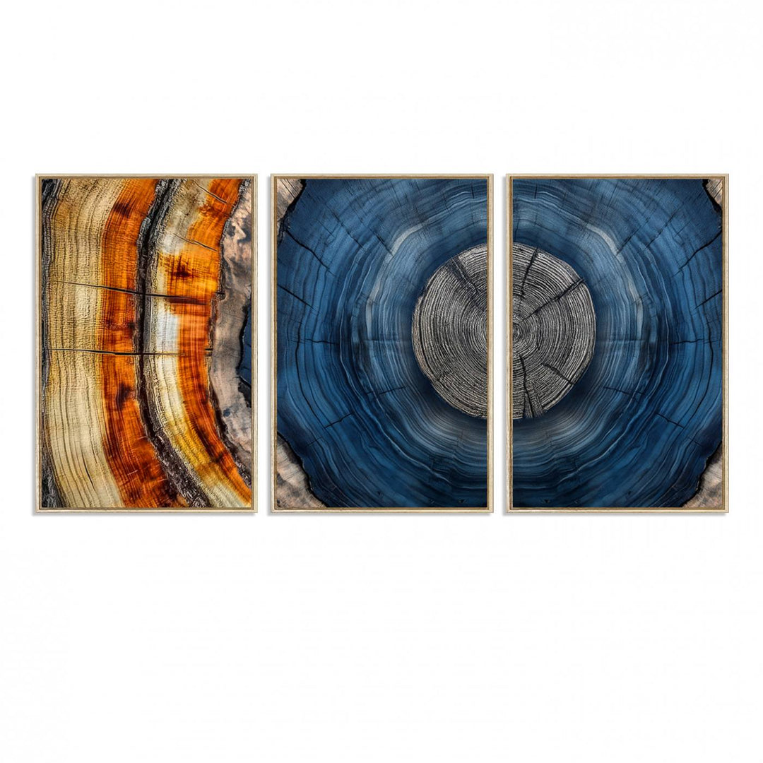 Vibrant Abstract Tree Rings in Orange, Brown, and Blue - Canvas Print for Nature Woodland Wall Decor.