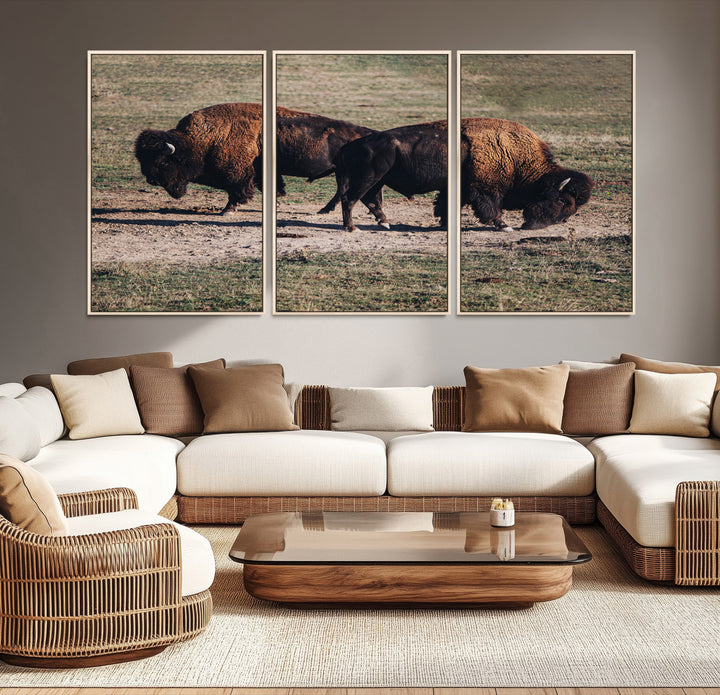 Bison Photography Wall Art Canvas Print, Framed Western Wildlife Art Picture Print, Modern Ranch Perfect Western Rustic Decor Artwork
