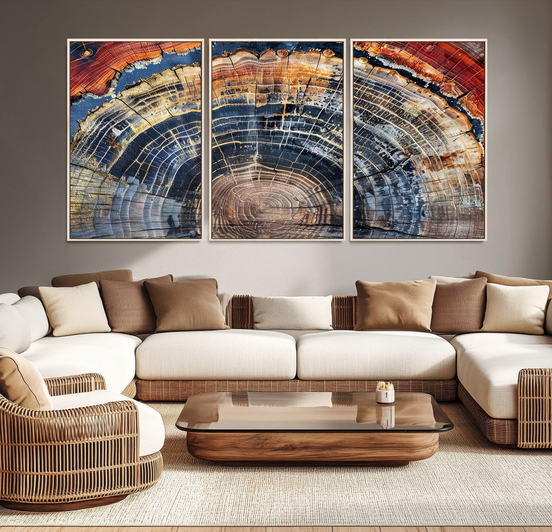 Tree Rings Canvas Wall Art Print, Framed Wood Texture Art Picture Print, Petrified Wood Perfect Modern Rustic Decor Artwork