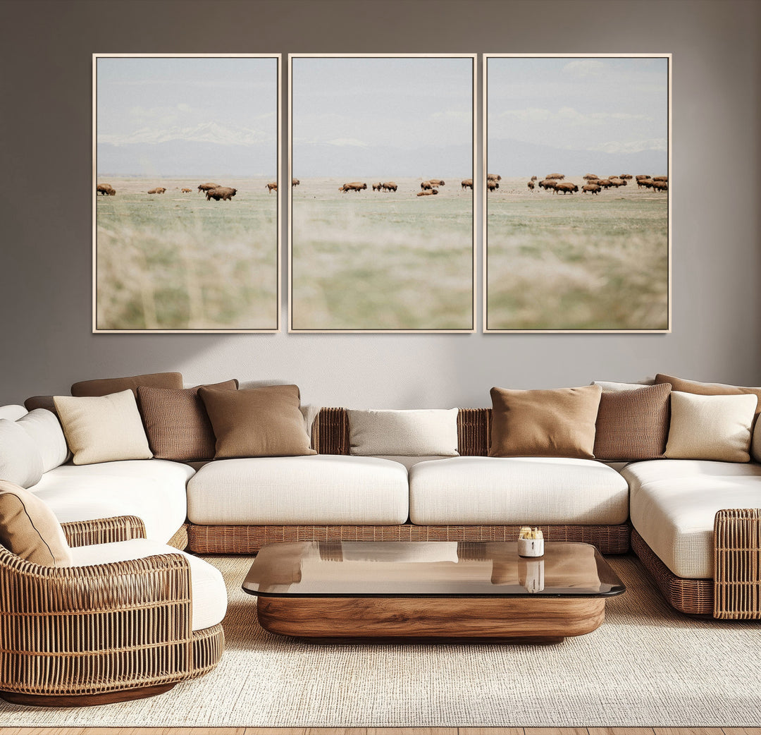 Bison Herd Wall Art Canvas Print, Framed Western Art Picture Print, Bison Perfect Ranch Decor Artwork