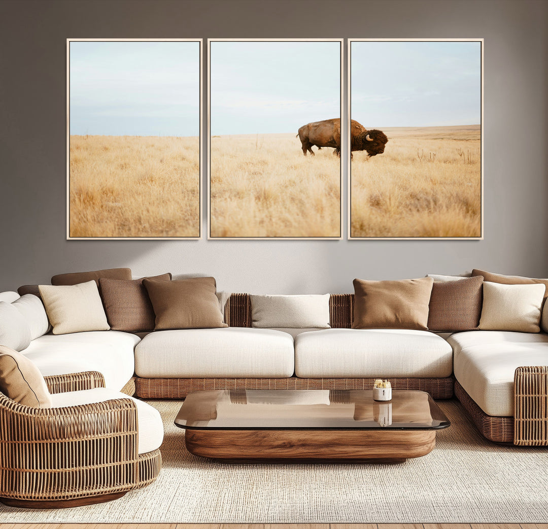 A lone bison standing in a vast golden grassland under a soft blue sky, evoking a rustic and Western aesthetic, ideal for farmhouse decor.