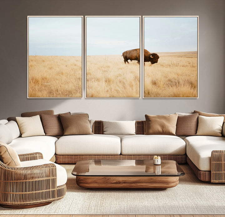 A lone bison standing in a vast golden grassland under a soft blue sky, evoking a rustic and Western aesthetic, ideal for farmhouse decor.