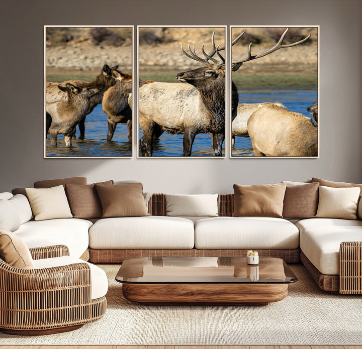 Group of elk standing in shallow water with dry rocky terrain in the background, showcasing wildlife in a natural setting for rustic decor.