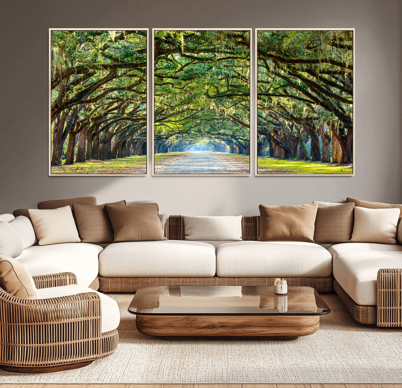 MGV-FC-60X30-3P - Wormsloe State Plantation Driveway Wall Art Canvas Print