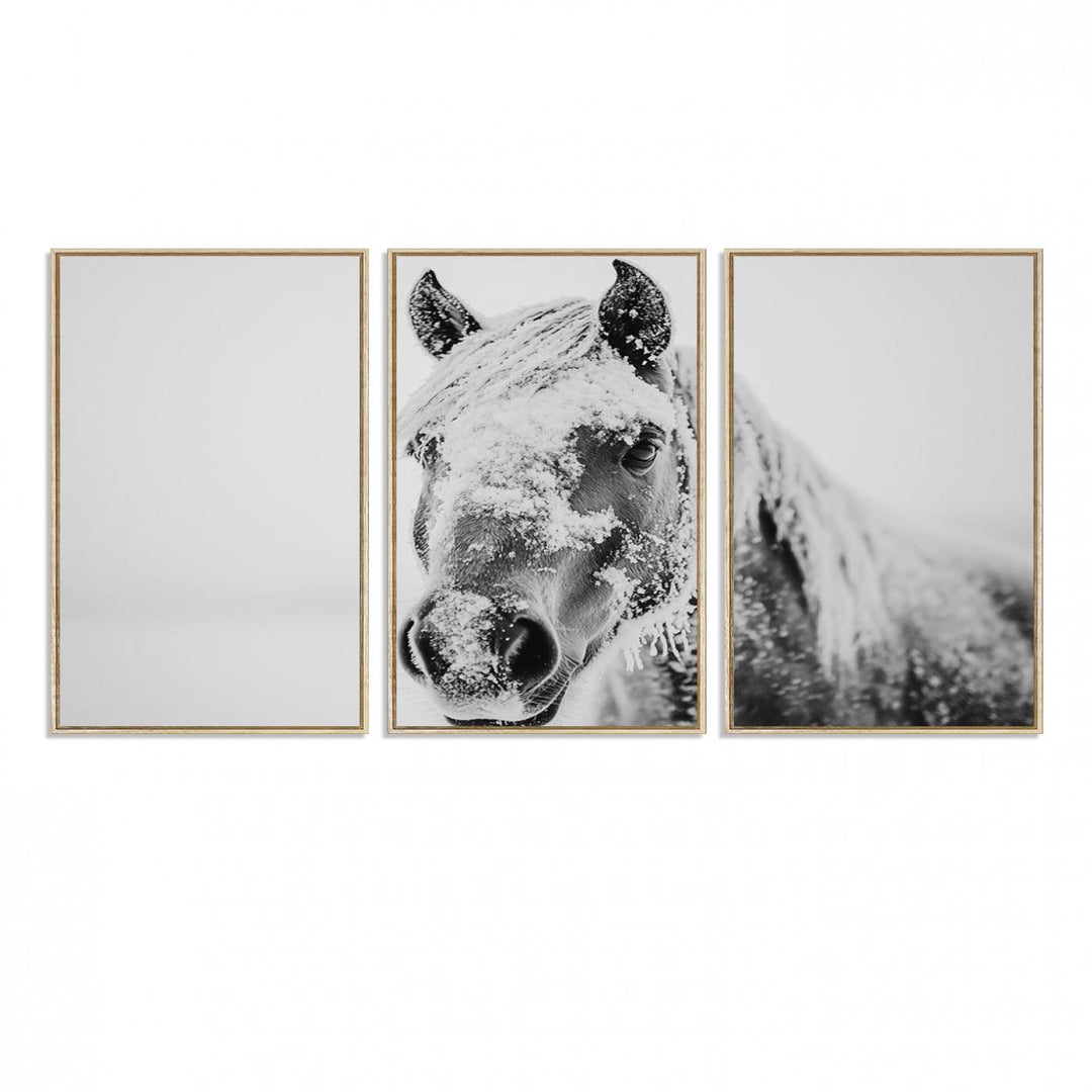 White Horse Wall Art: A black and white photo of a snow-covered horse, framed and ready to hang for farmhouse decor.