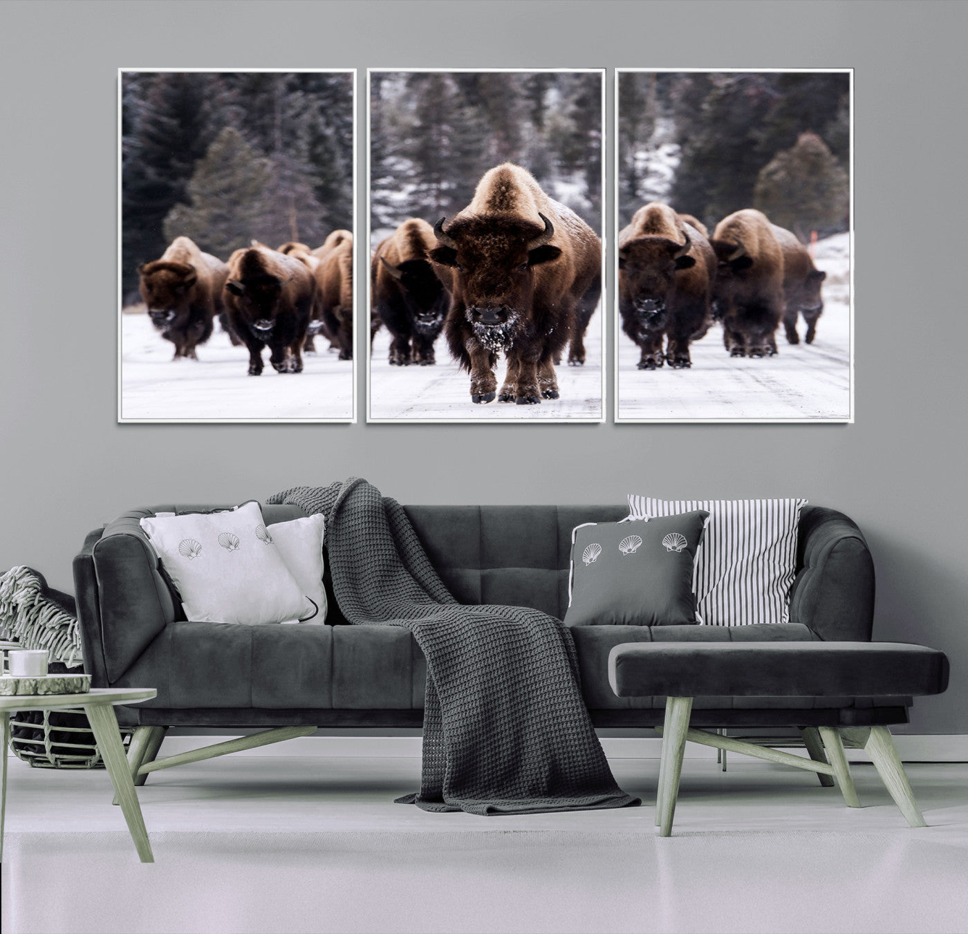 MGV-FC-60X30-3P - Bison Wall Art Canvas Print- Bison Herd Canvas Wall Art – Majestic Wildlife Photography – Framed and