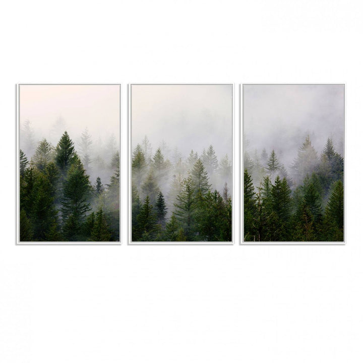 A serene, foggy evergreen forest creates a mysterious atmosphere, ideal for premium canvas wall art.