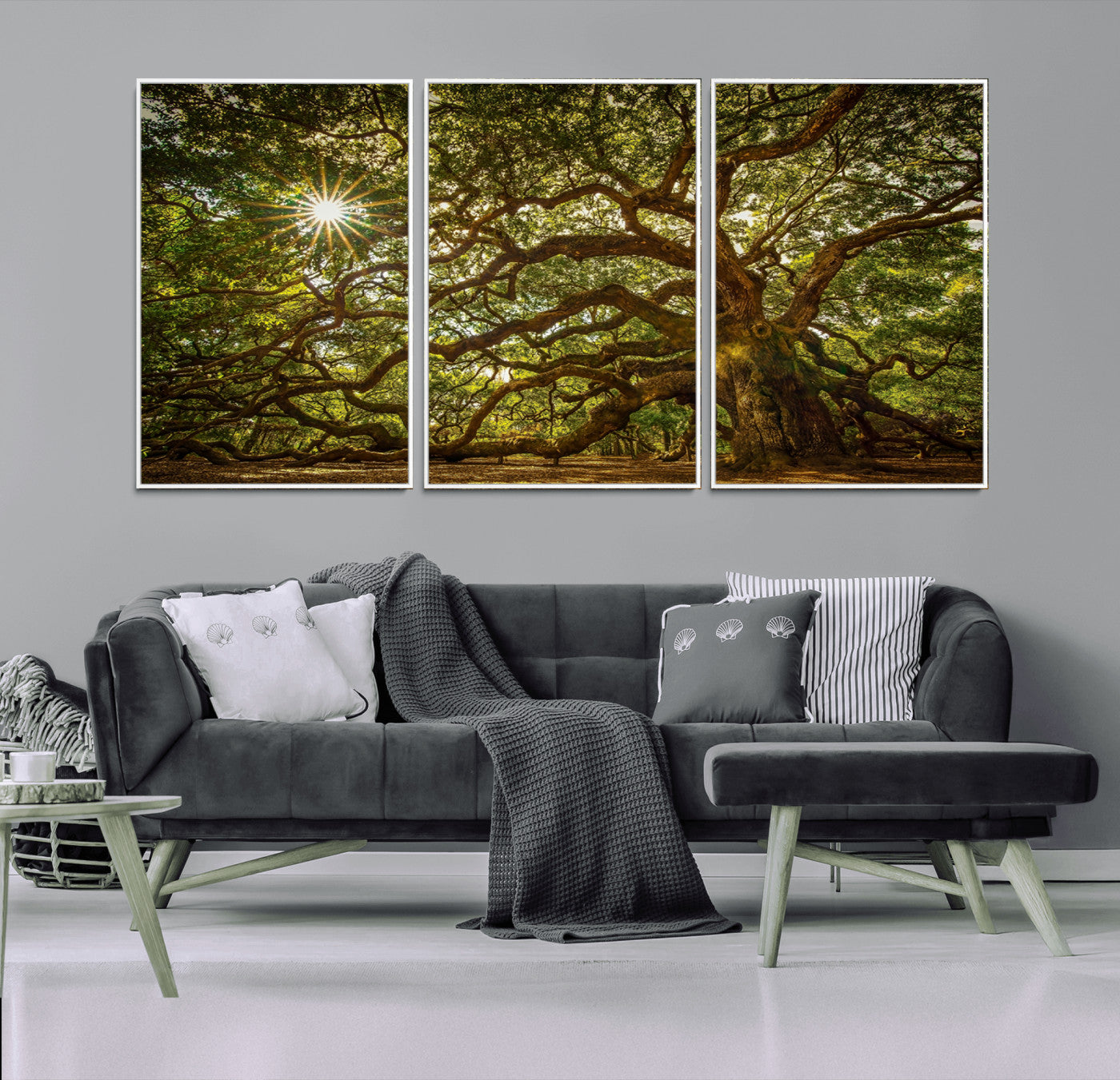 MGV-FC-60X30-3P - Ancient Angel Oak Tree Art Sunburst Canvas Print- Nature-Inspired Triptych Canvas Print, Framed,
