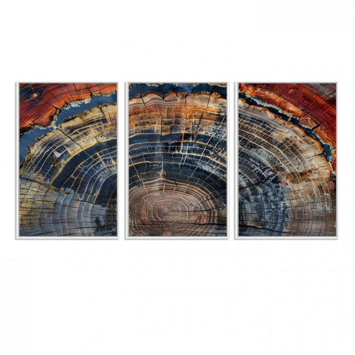 The Abstract Tree Ring Wall Art in orange, blue, and gray perfectly complements minimalist nature-inspired home decor.