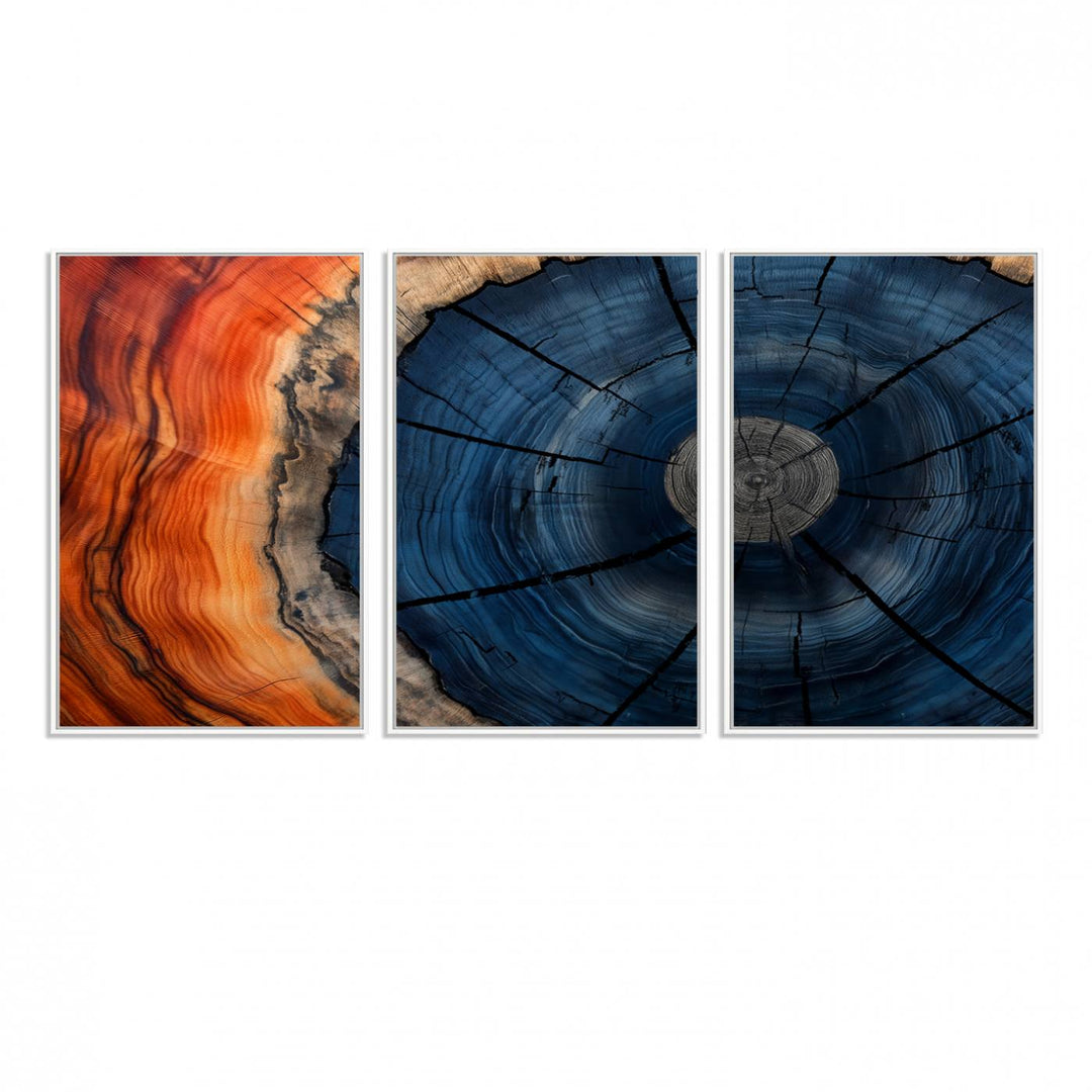 Abstract Tree Rings Canvas Print with vibrant colors—ideal farmhouse wall art for a woodland-themed home.