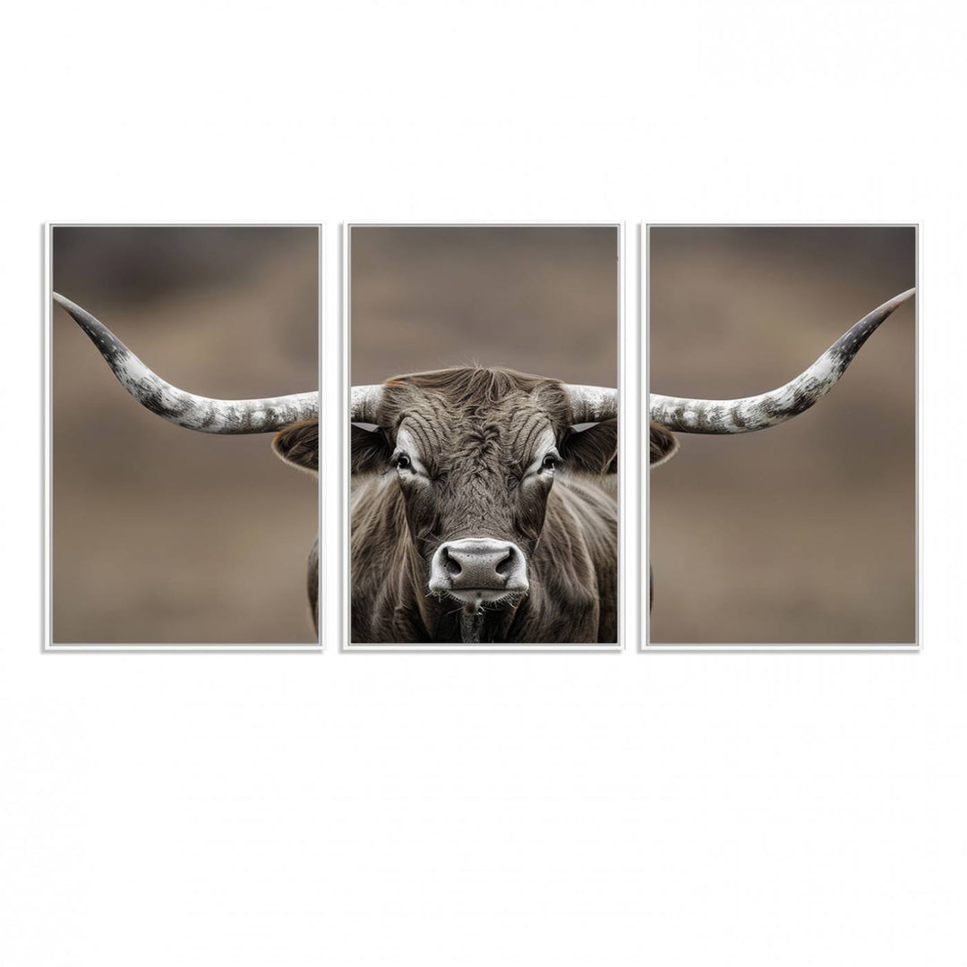 A close-up of a longhorn bull facing forward is featured in the Framed Texas Test-1, set against a blurred brown background.