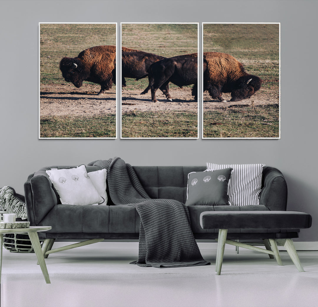 Bison Photography Wall Art Canvas Print, Framed Western Wildlife Art Picture Print, Modern Ranch Perfect Western Rustic Decor Artwork