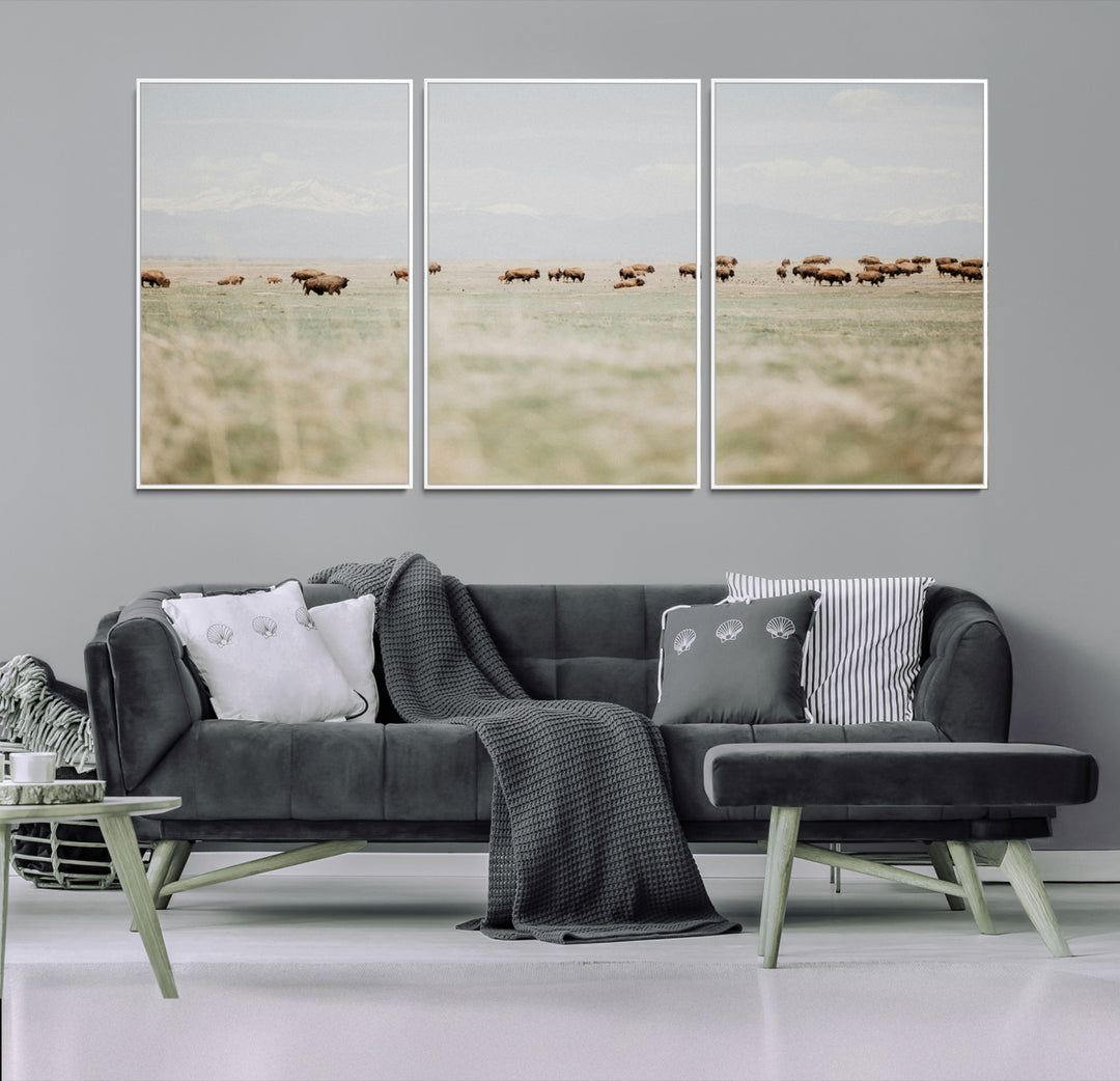 Bison Herd Wall Art Canvas Print, Framed Western Art Picture Print, Bison Perfect Ranch Decor Artwork