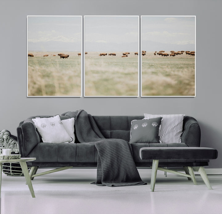 Bison Herd Wall Art Canvas Print, Framed Western Art Picture Print, Bison Perfect Ranch Decor Artwork