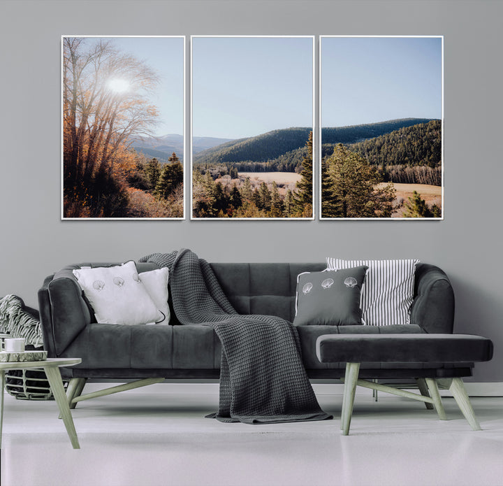 A scenic mountain valley with pine trees and autumn foliage under a clear sky, bathed in golden sunlight, creating a peaceful and rustic landscape.