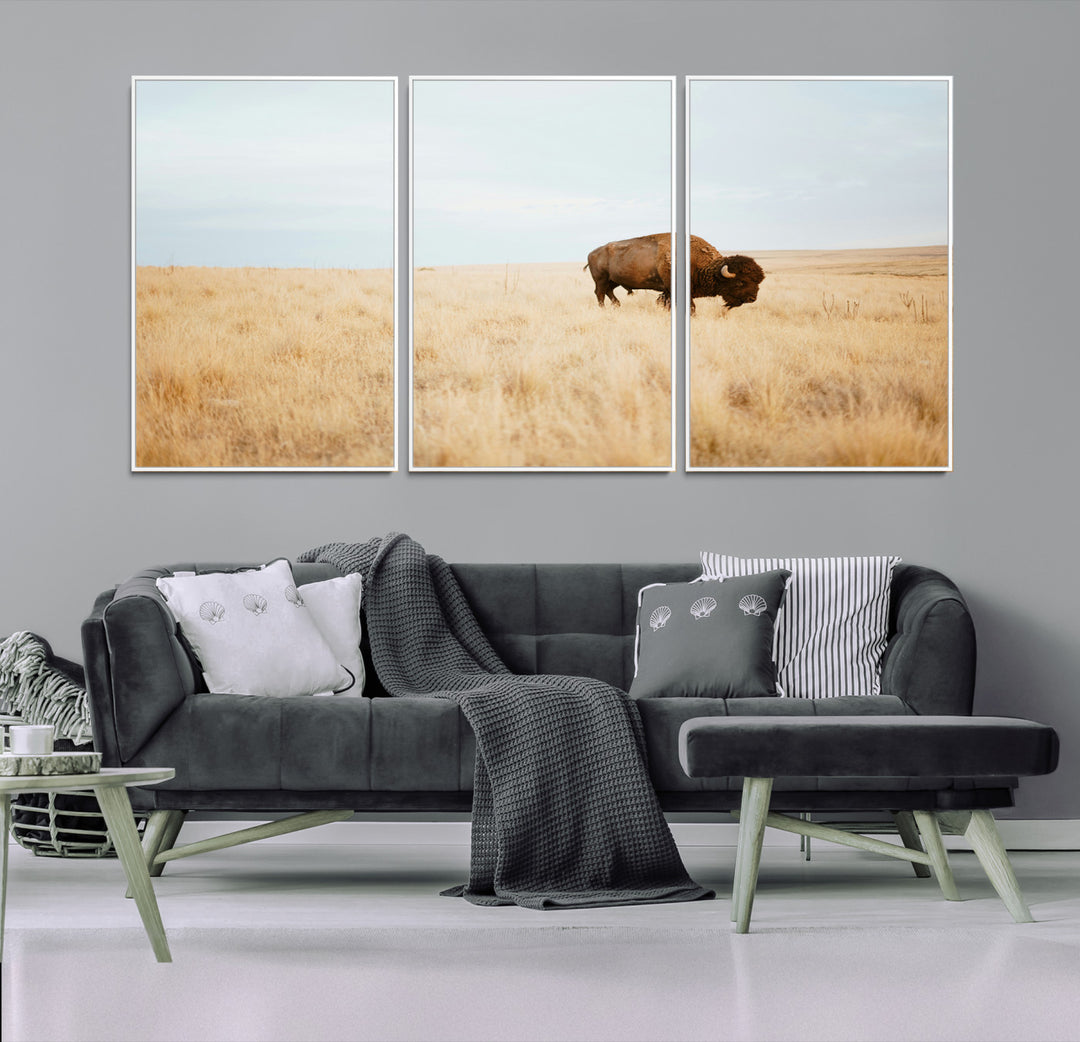 A lone bison standing in a vast golden grassland under a soft blue sky, evoking a rustic and Western aesthetic, ideal for farmhouse decor.