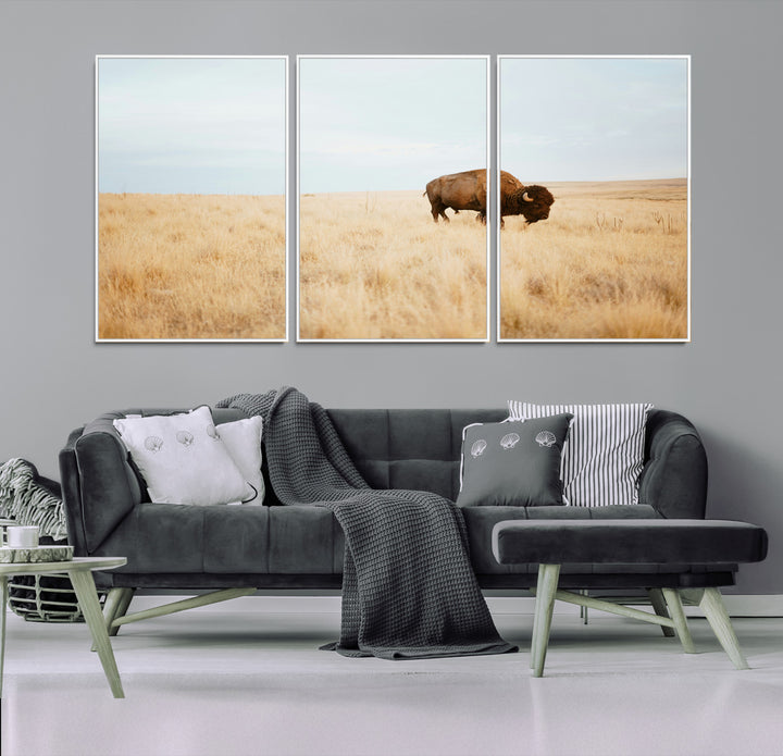 A lone bison standing in a vast golden grassland under a soft blue sky, evoking a rustic and Western aesthetic, ideal for farmhouse decor.