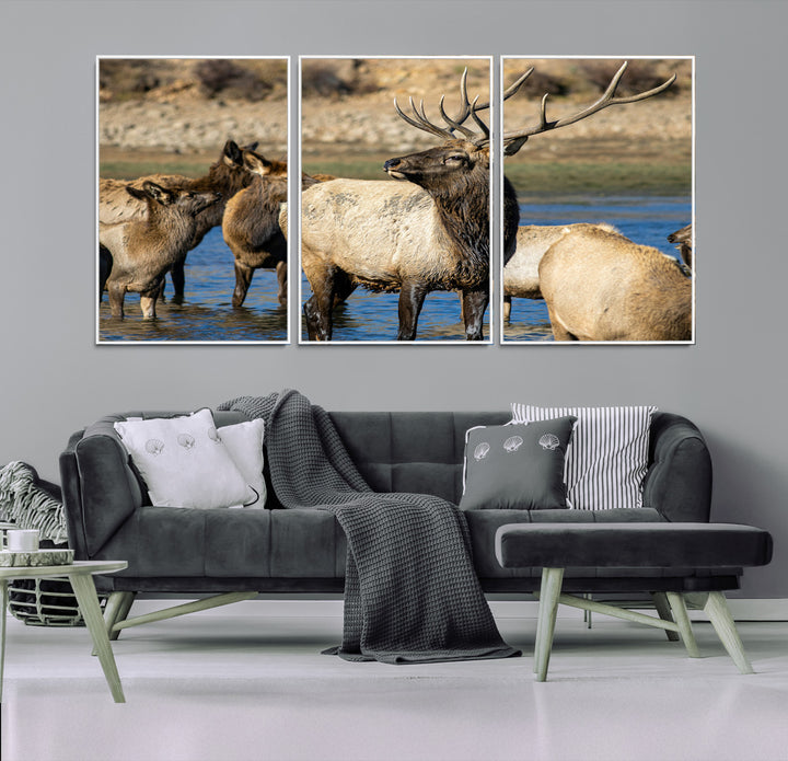 Group of elk standing in shallow water with dry rocky terrain in the background, showcasing wildlife in a natural setting for rustic decor.