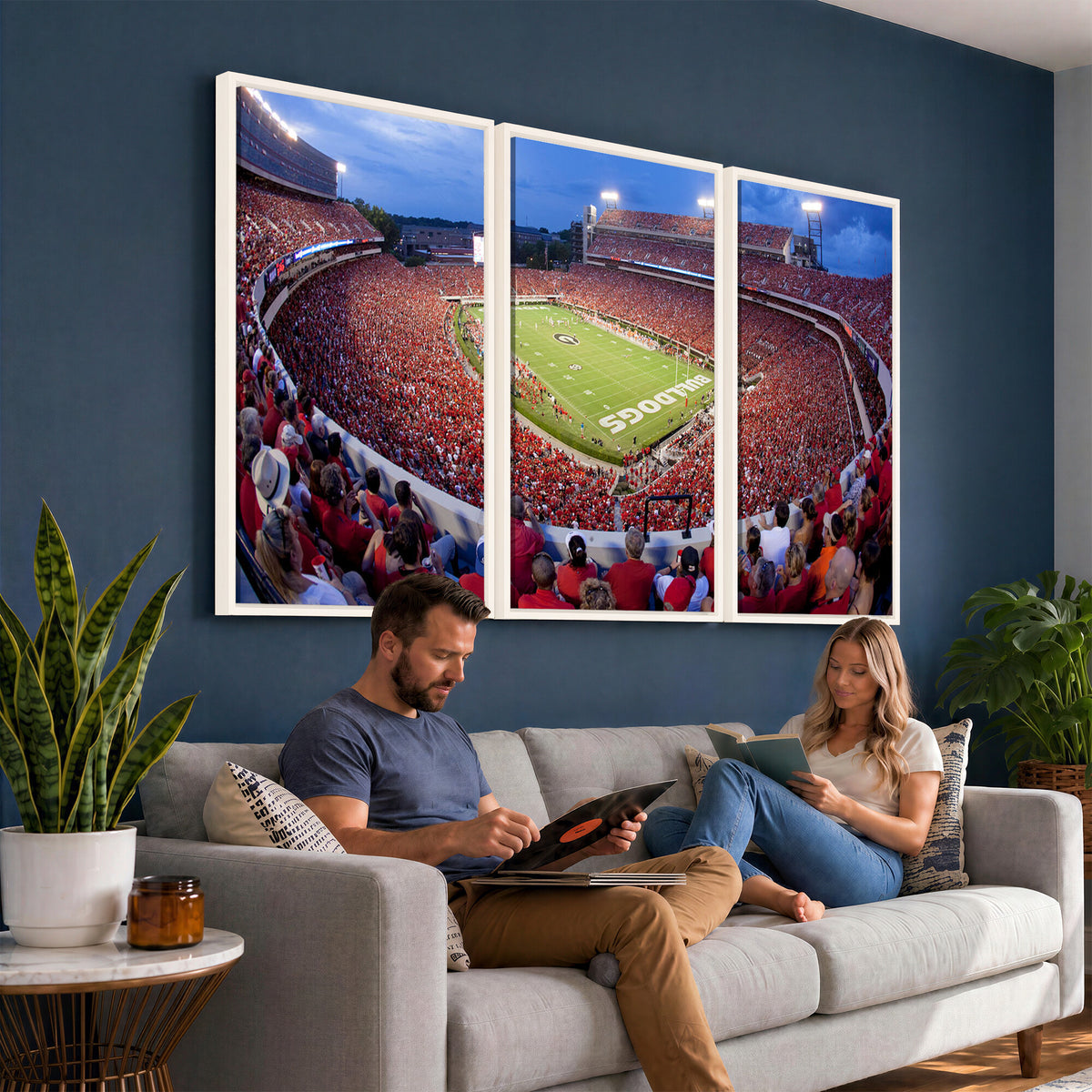 10244378-MGV-CV-36X24 - Dooley Stadium Wall Art, Sports Arena Canvas Print, Dooley Field, Home Bar Wall Decor