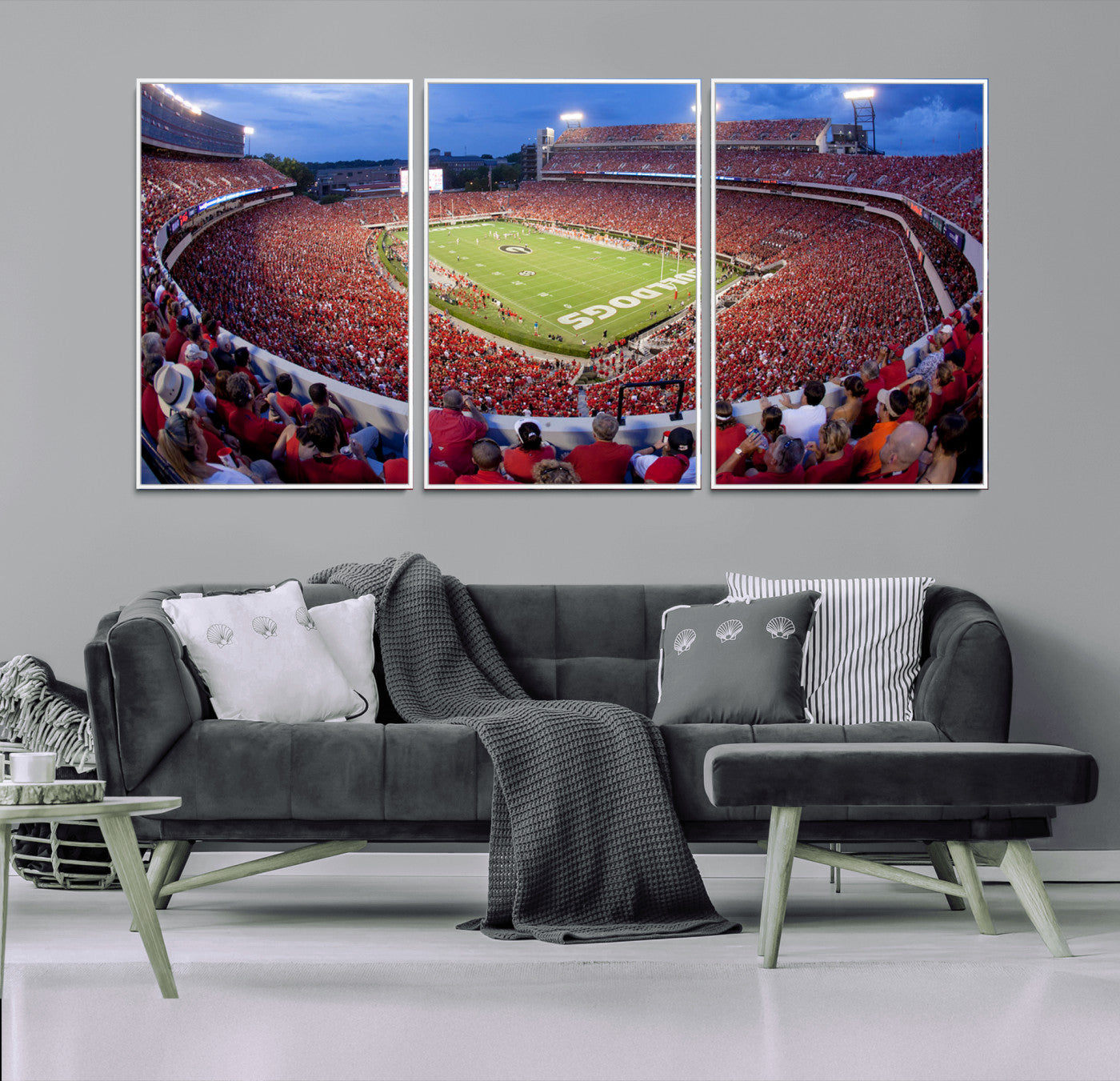 10244378-MGV-FC-60X30-3P_White-Dooley Stadium Wall Art Print, Sports Arena Canvas Wall Art, Dooley Field at Sanford Stadium Canvas Print, Modern Athletic Field Art Printing