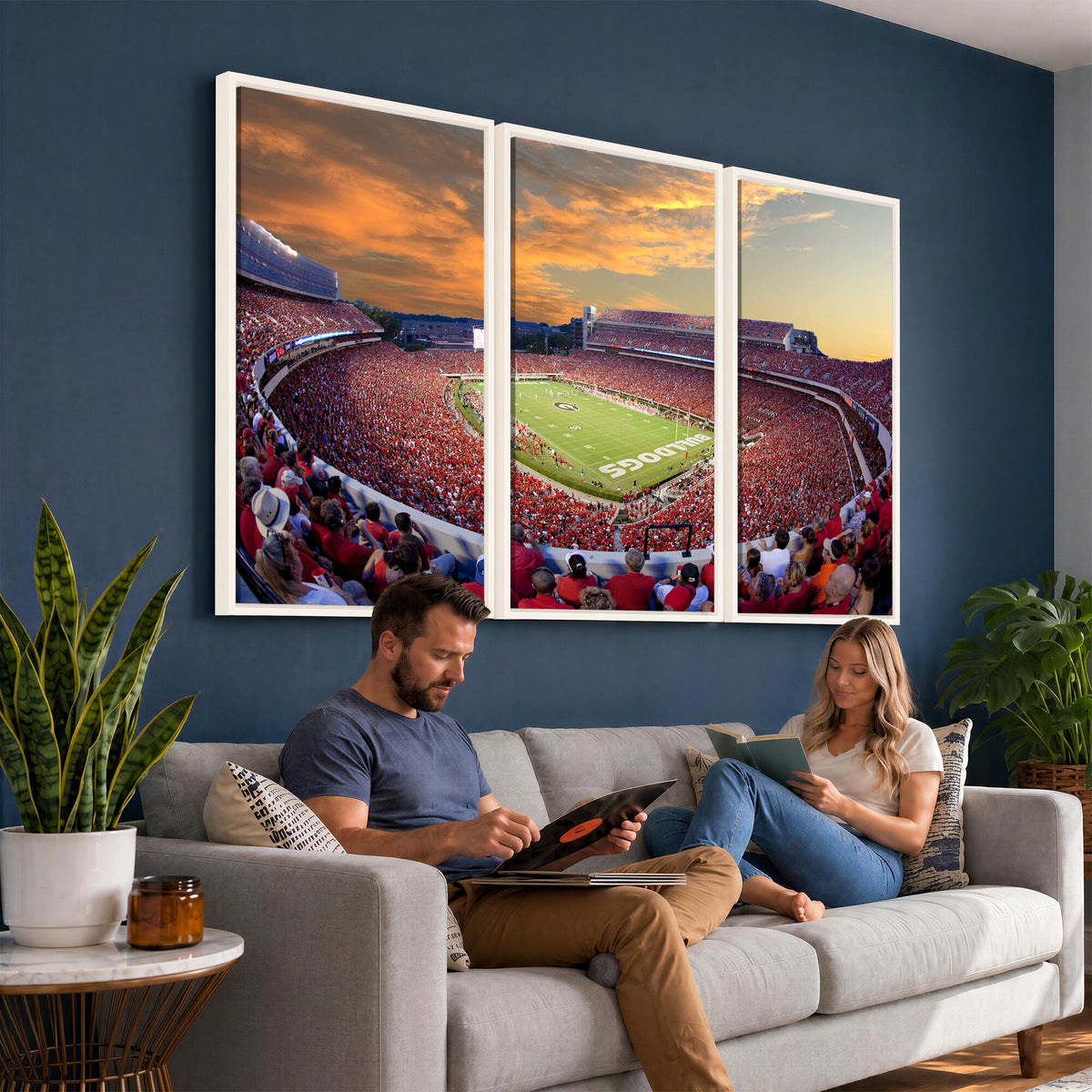 73680988-MGV-CV-36X24 - Dooley Stadium Wall Art, Sports Arena Canvas Print, Dooley Field, Framed and Ready to Hang
