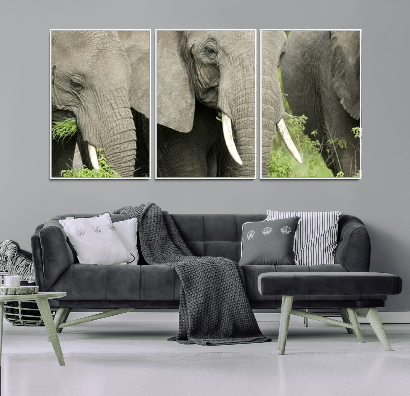 MGV-FC-60X30-3P - Wild Elephant Wall Art Canvas Print