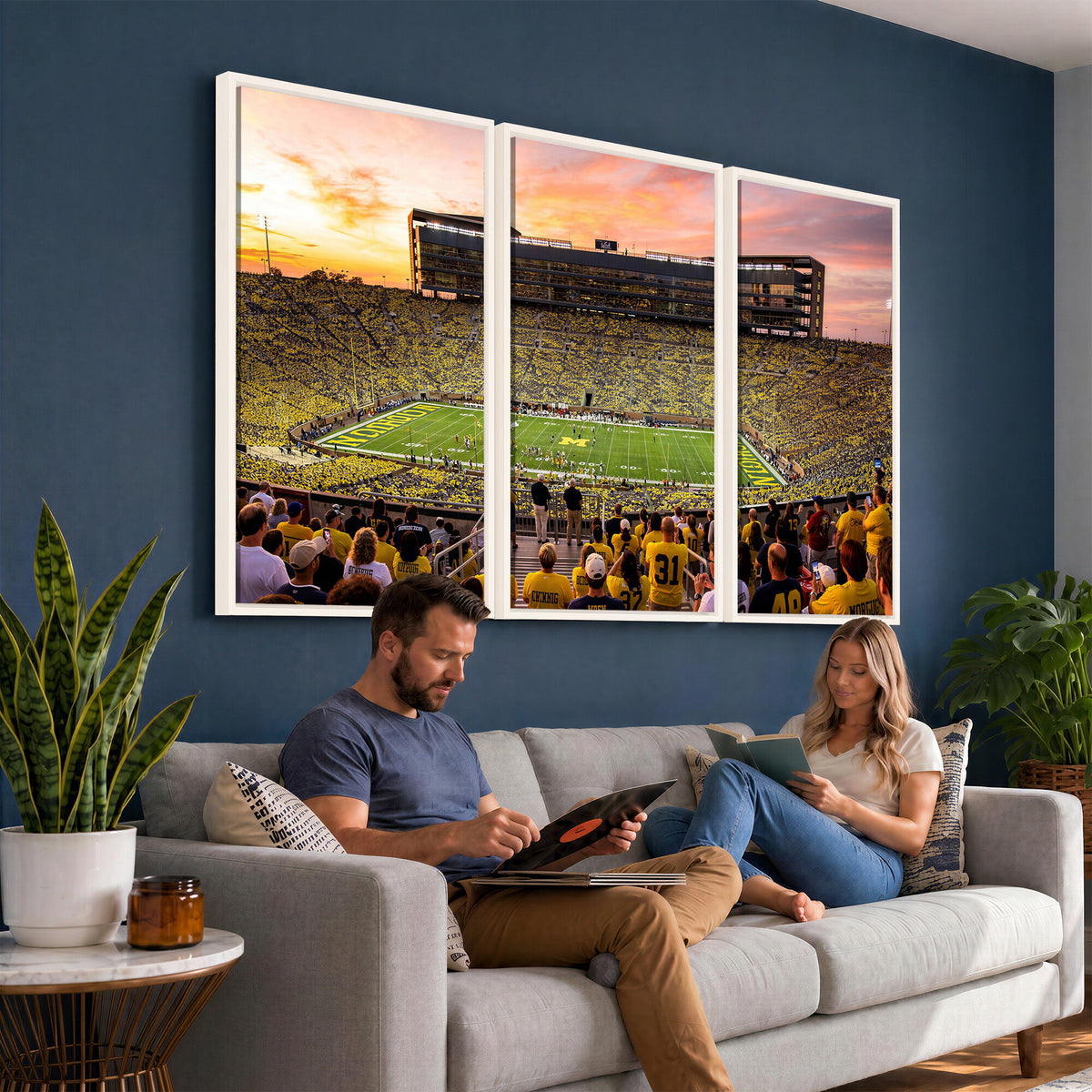 27265223-MGV-CV-36X24 - Stadium Wall Art Canvas Print
