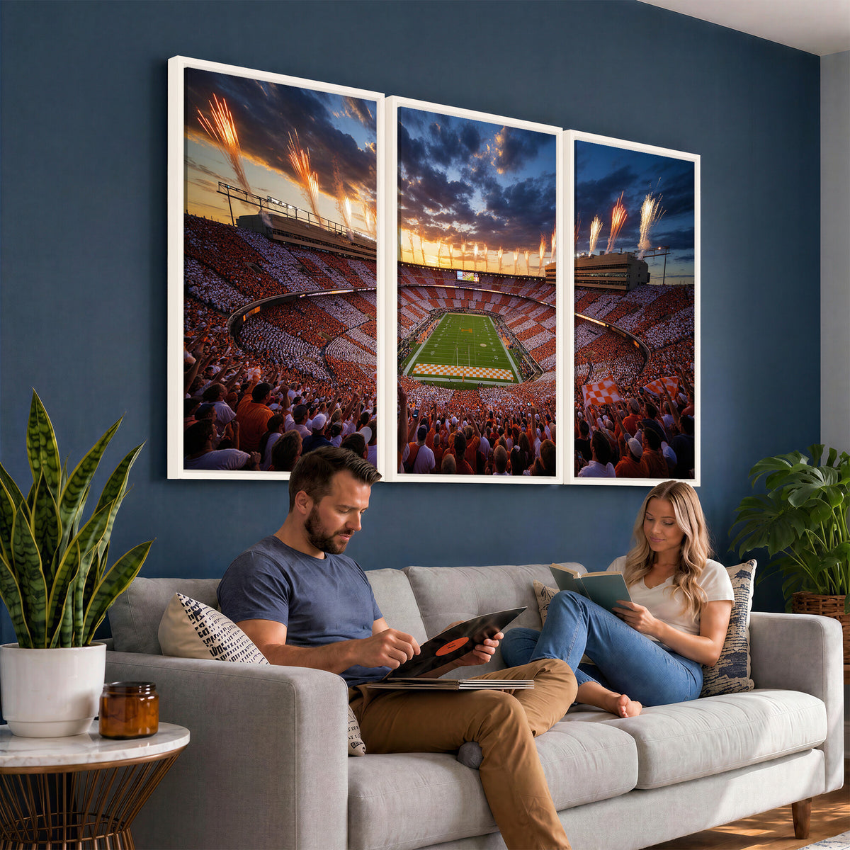 29672818-MGV-CV-36X24 - Stadium Wall Art Canvas Print