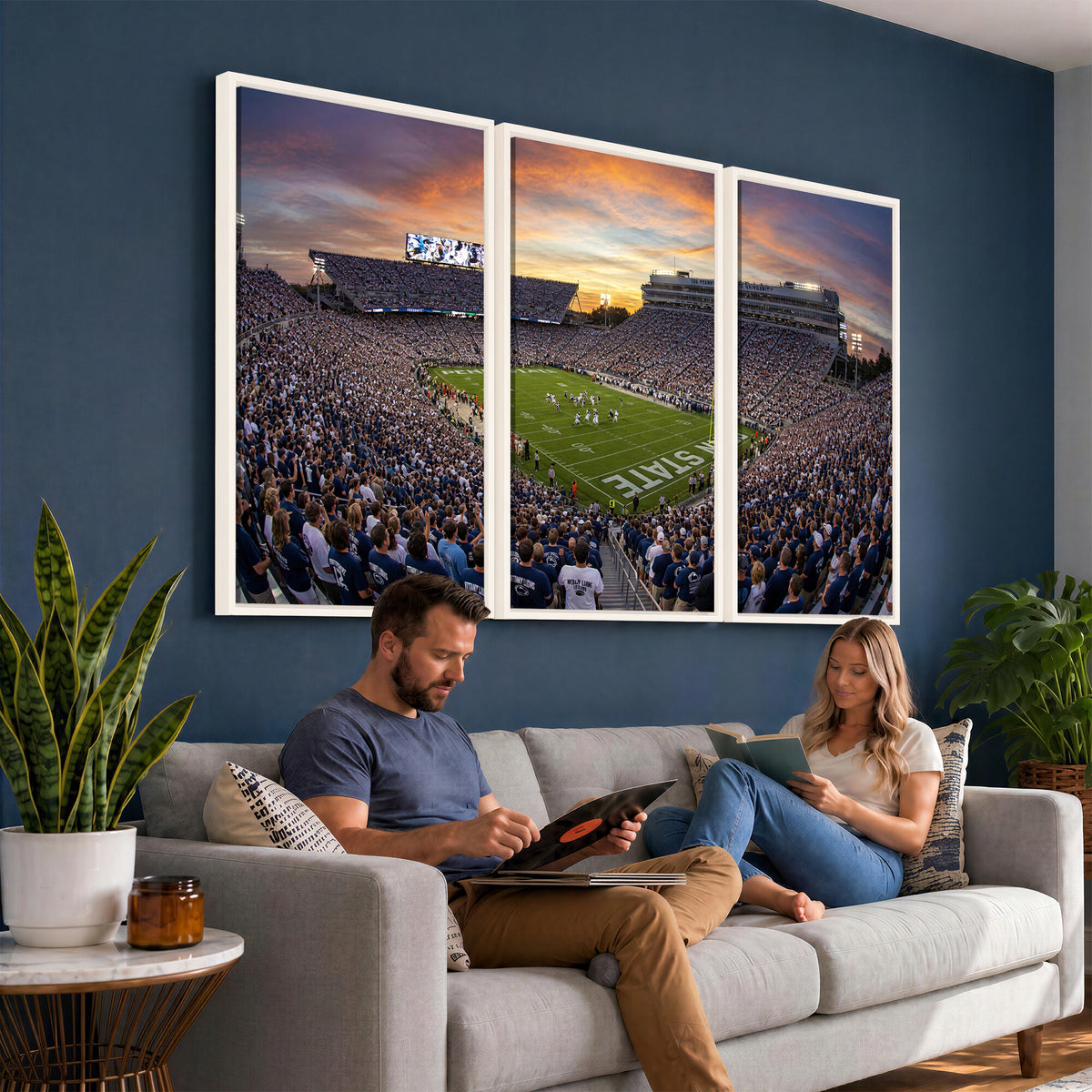 29008668-MGV-CV-36X24 - Stadium Wall Art Canvas Print