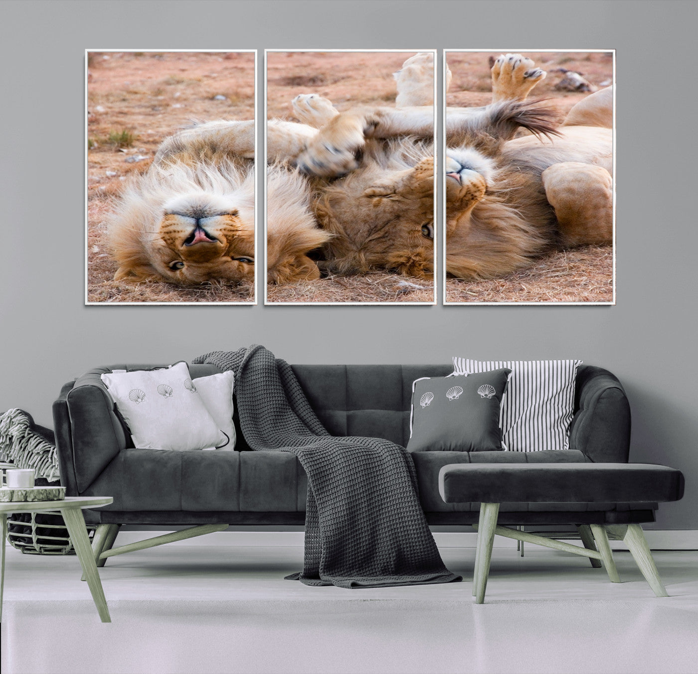 62598-MGV-CV-36X24-Lion Pair Wall Art Canvas Print – Framed Wildlife Scene with Playful Lions Artwork for Home, Office, Living Room