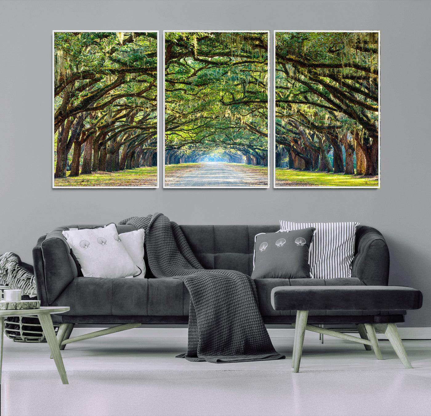 MGV-FC-60X30-3P - Wormsloe State Plantation Driveway Wall Art Canvas Print