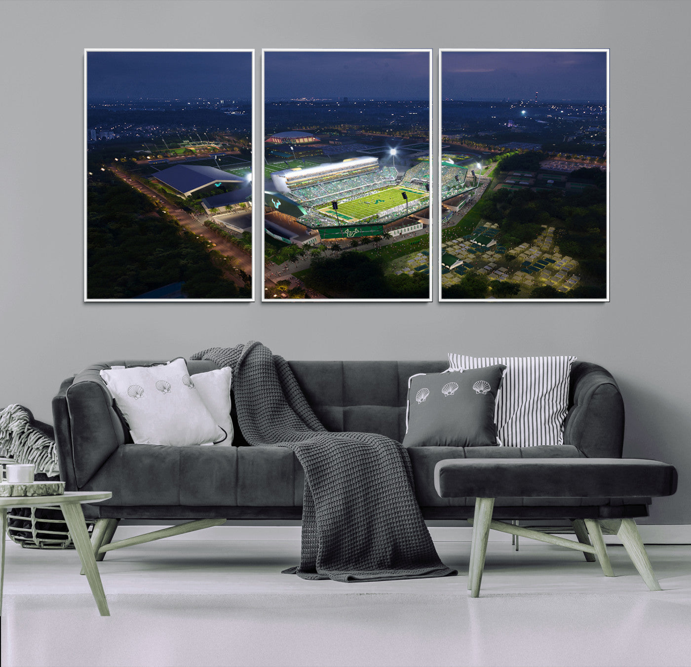 27554-MGV-CV-36X24-The University of South Florida Bulls Football Team Print - Tampa USF Football Stadium Wall Art