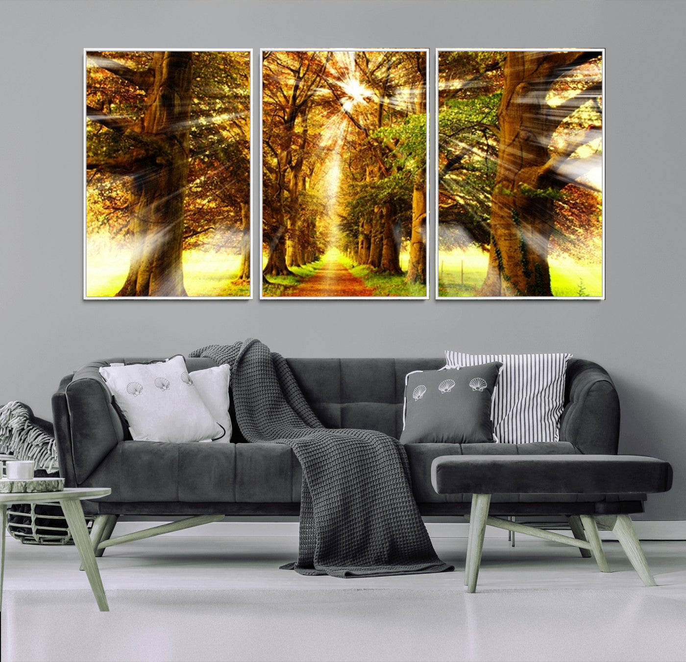 50243-MGV-FC-60X30-3P_White-Sunshine in Forest and Trees Wall Art Canvas Print
