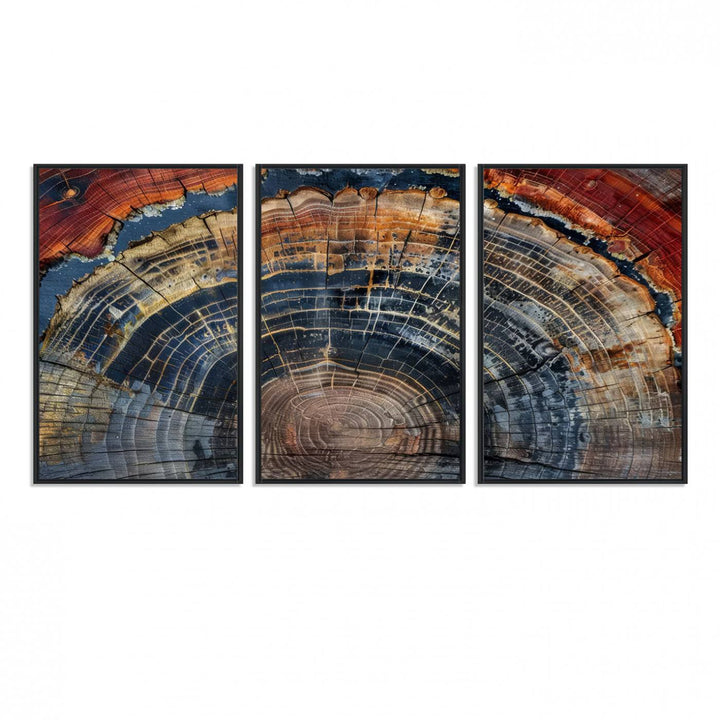 The Abstract Tree Ring Wall Art in orange, blue, and gray perfectly complements minimalist nature-inspired home decor.