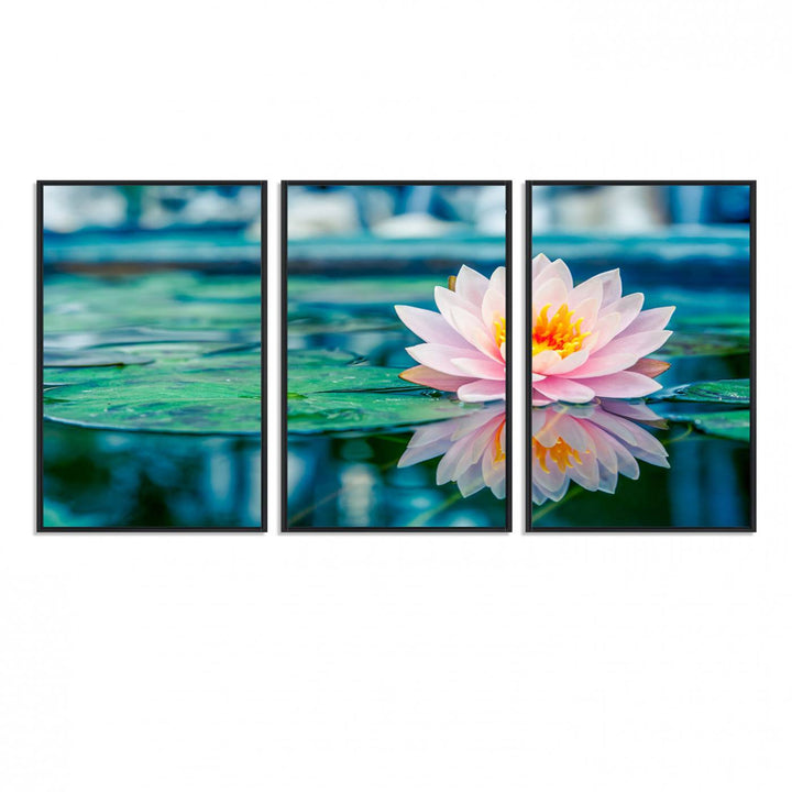 The Lotus Flower Canvas Print showcases a pink water lily with a yellow center gracefully floating on a calm pond.