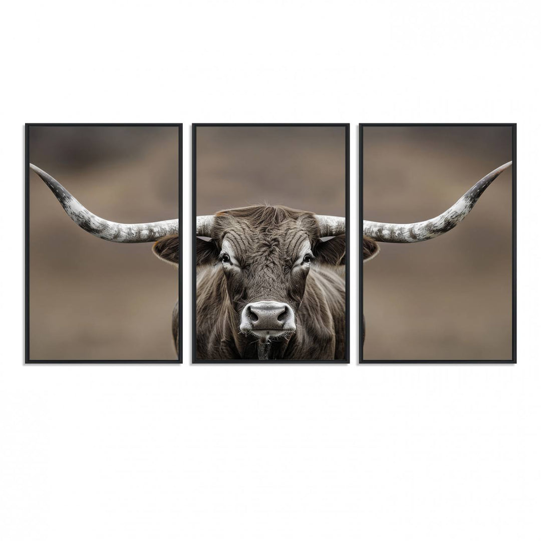 A close-up of a longhorn bull facing forward is featured in the Framed Texas Test-1, set against a blurred brown background.