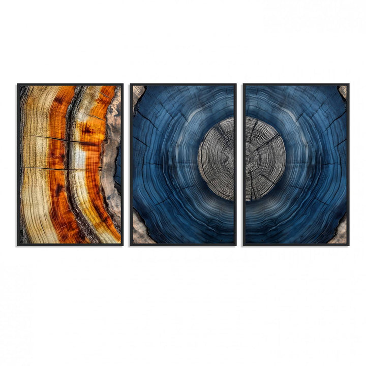 Vibrant Abstract Tree Rings in Orange, Brown, and Blue - Canvas Print for Nature Woodland Wall Decor.