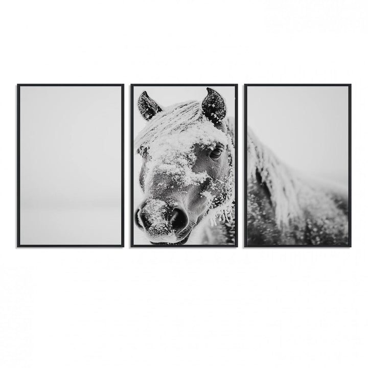 White Horse Wall Art: A black and white photo of a snow-covered horse, framed and ready to hang for farmhouse decor.