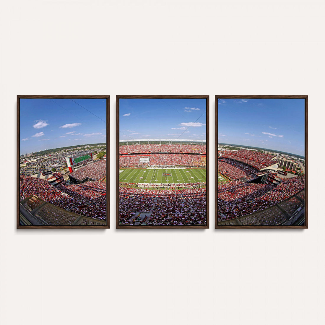 William Brice Stadium Wall Art Canvas Print, Stadium Crowd on Football Game Day