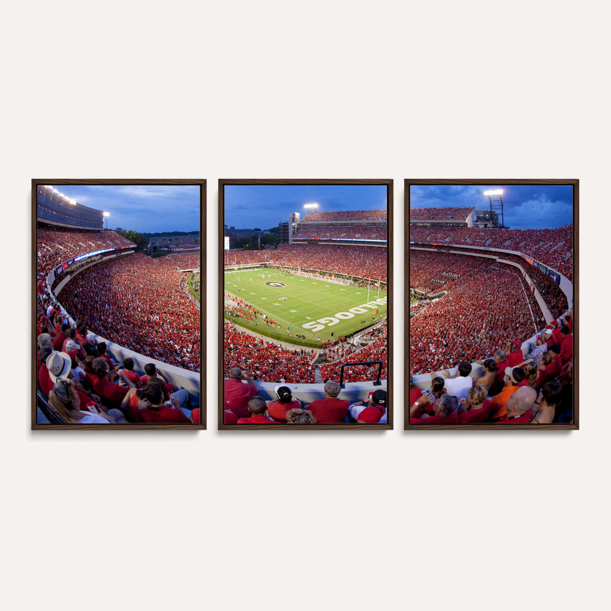 10244378-MGV-CV-36X24 - Dooley Stadium Wall Art, Sports Arena Canvas Print, Dooley Field, Home Bar Wall Decor