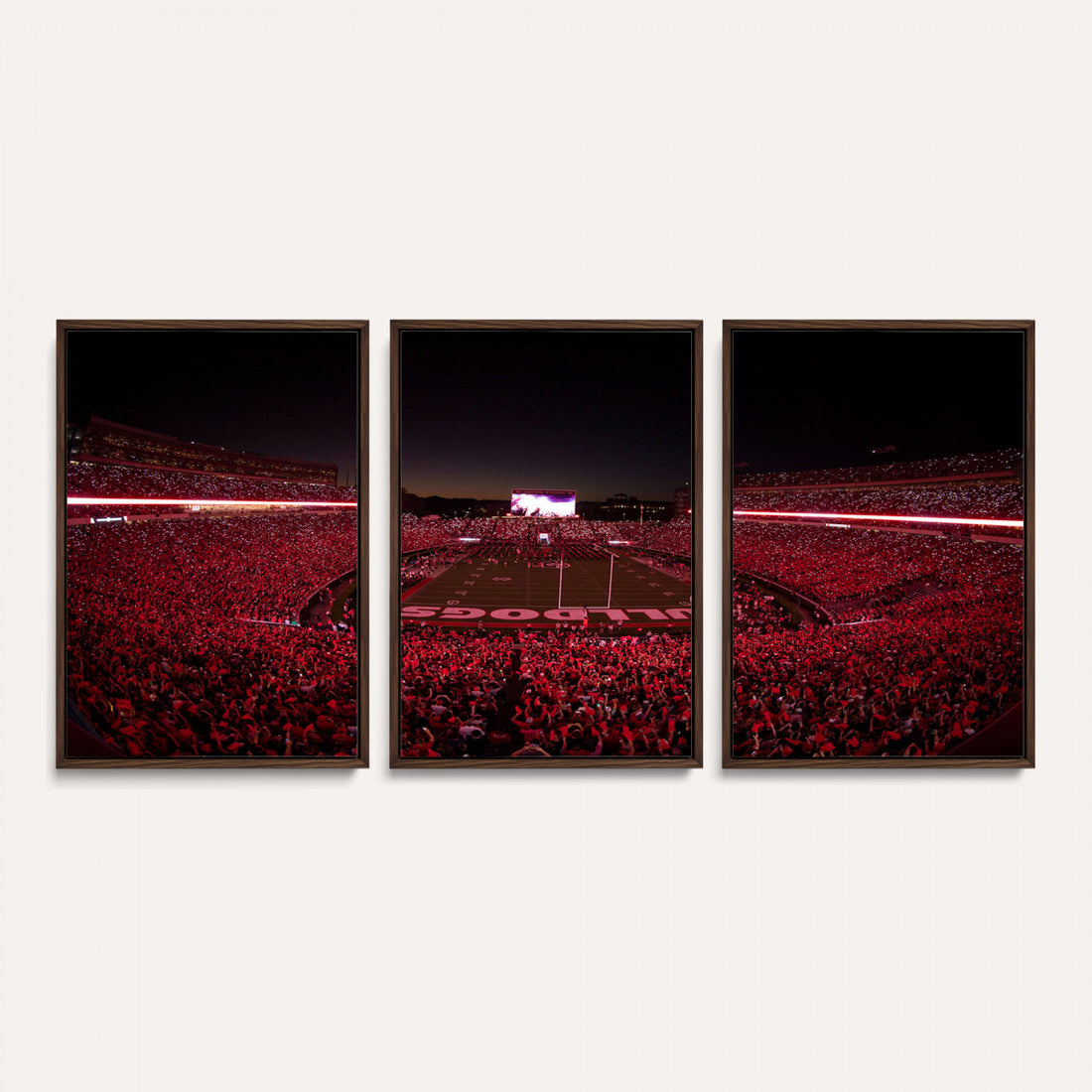 Dooley Stadium Wall Art, Sports Arena Canvas Print, Dooley Field Sanford Stadium