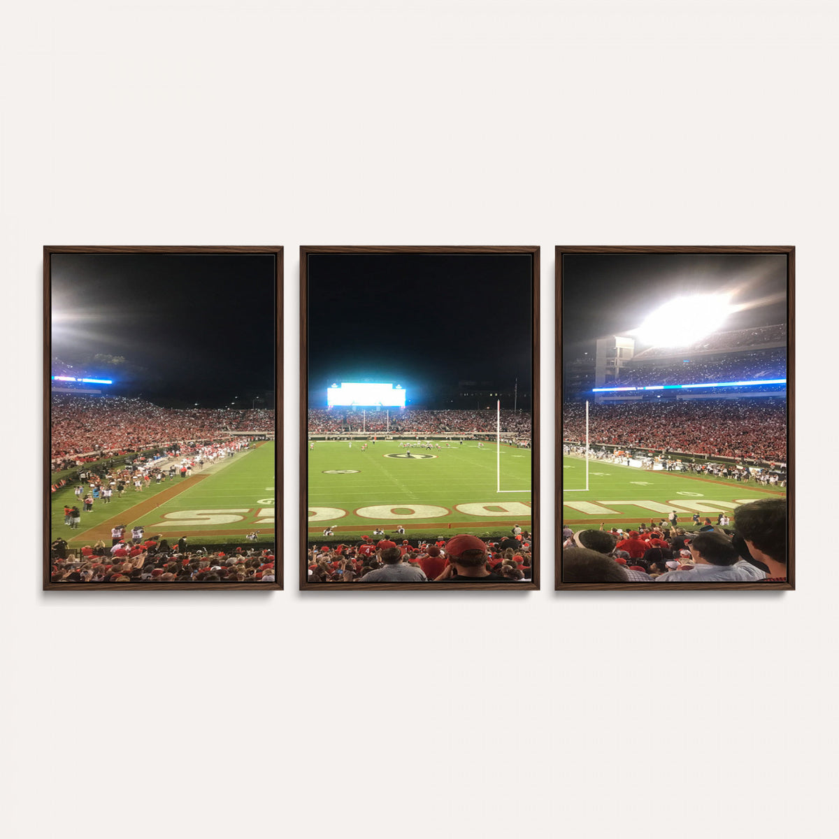 16230786-MGV-CV-36X24 - Dooley Stadium Wall Art, Sports Arena Panoramic Canvas Print, Modern Stadium Landscape Artwork for Home, Office