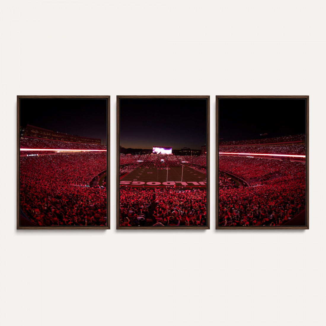 Sanford Stadium Wall Art Canvas Print, Georgia Bulldogs