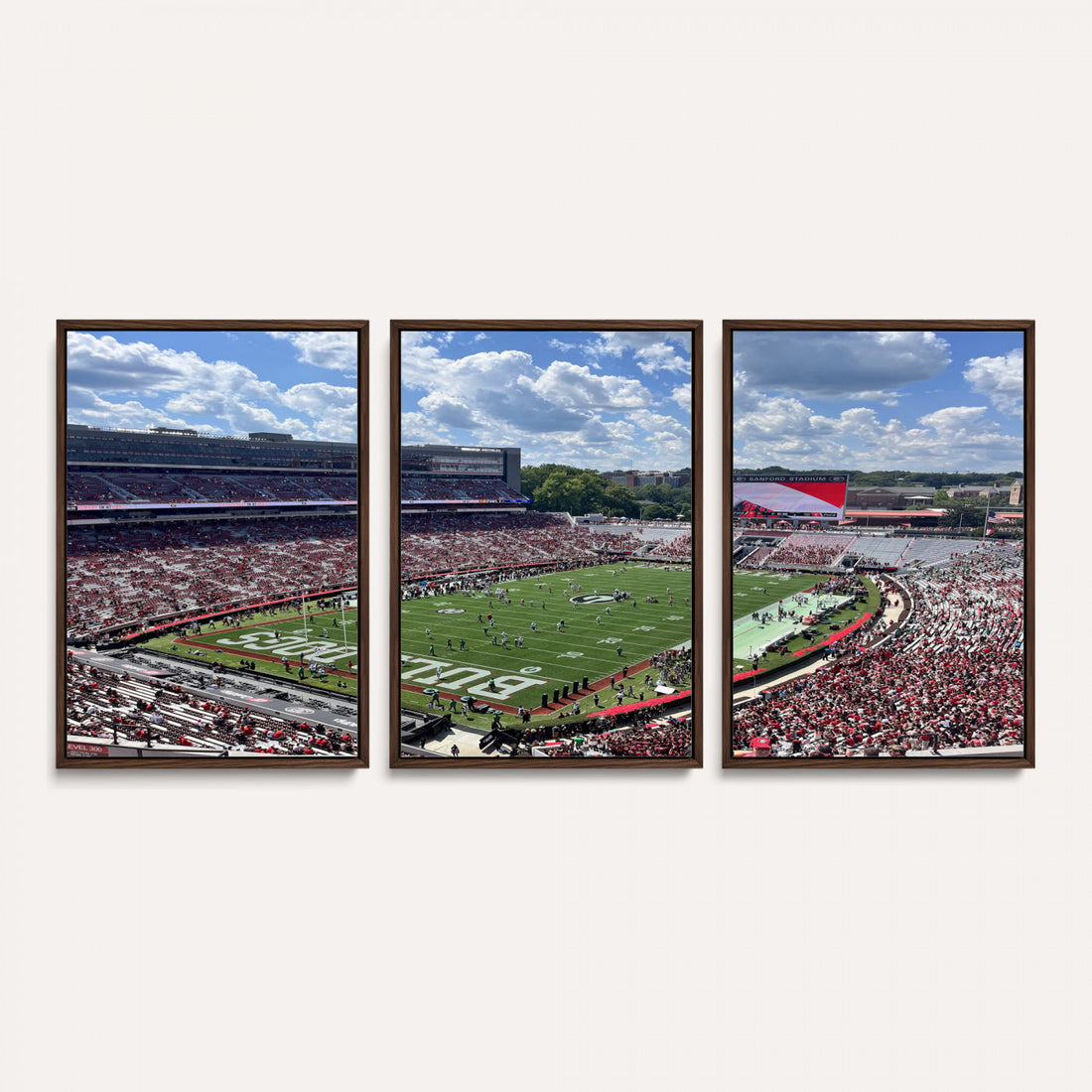 Georgia Bulldogs Stadium Wall Art Canvas Print, Sanford, Framed and Ready to Hang