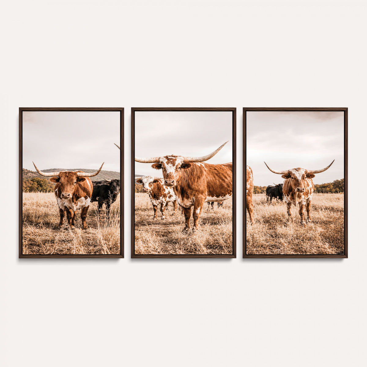 27539727-MGV-CV-36X24 - Texas Longhorn Cattle Wall Art Canvas Print, Sepia Western Decor