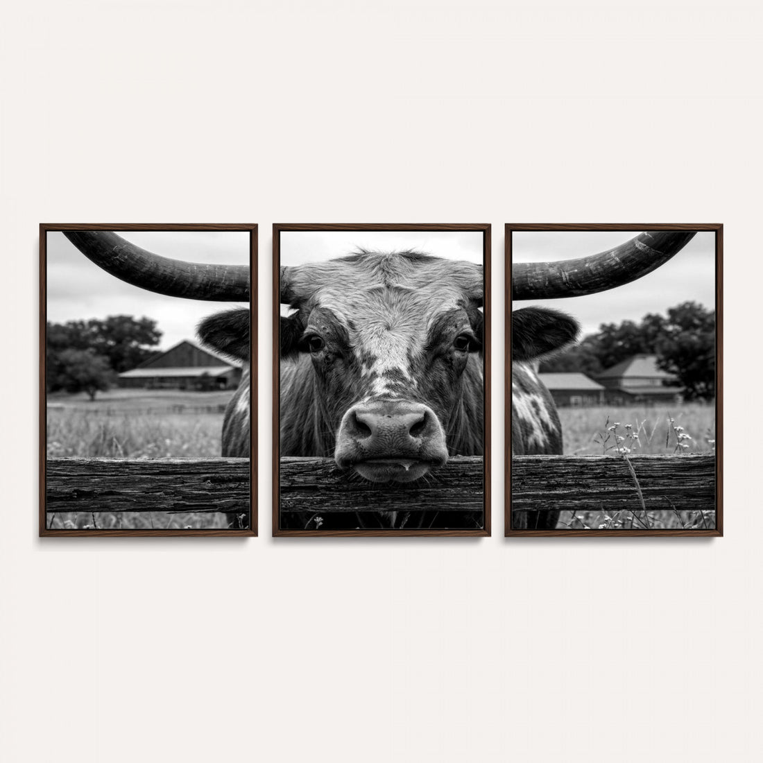 Black White Texas Longhorn Bull Canvas Wall Art, Western Ranch Cattle Photo Print