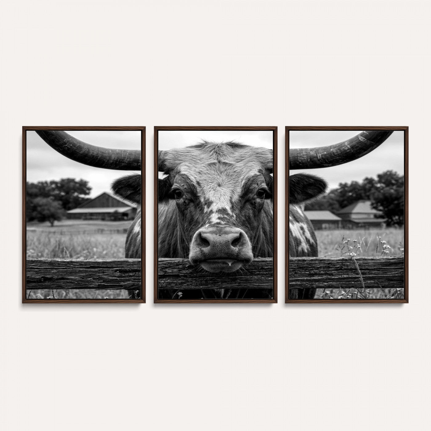 59378683B-MGV-CV-36X24 - Black White Texas Longhorn Bull Canvas Wall Art, Western Ranch Cattle Photography Print, Rustic Farmhouse Cowboy Decor Artwork