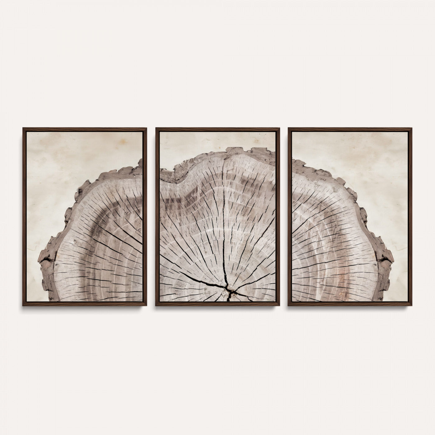 87833480-MGV-CV-60X30-3P - Tree Ring Canvas Wall Art in Neutral Earth Tones, Framed Wood Slice Print for Rustic and Japandi Interiors
